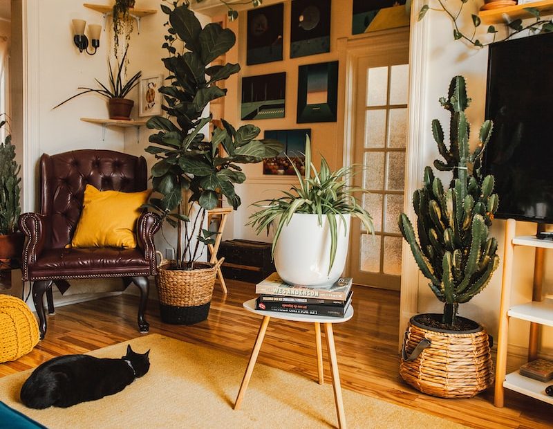 planificar reforma vivienda