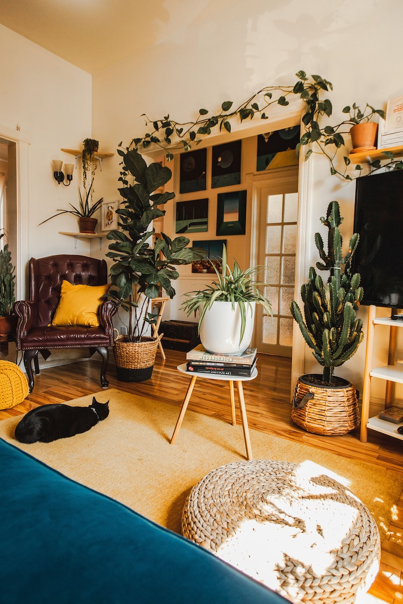 Consejos para planificar la reforma de tu vivienda - REV